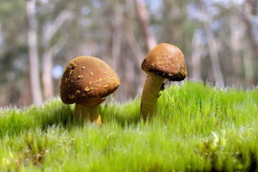 珠海斗门区8私人老板放款：轻松融资的秘密通道